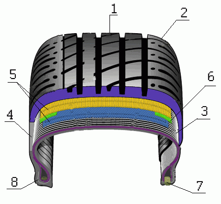 Шина (tyre)   складається з: каркаса, шарів брекера, протектора, борта і бічній частині