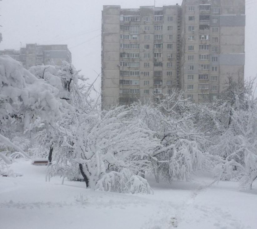 Снігопади не припиняться: в Україну йде новий циклон