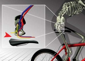 Комфортність занять велоспортом багато в чому залежить від конструкції велосипедного сидіння (сідла) яке впливає на навантаженість тазових кісток велосипедиста