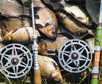 При правильному ж підході риболовлю можна закінчити з набагато кращими результатами - і за якістю риби, і по її кількості